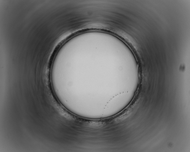 X0000101391029200807280933