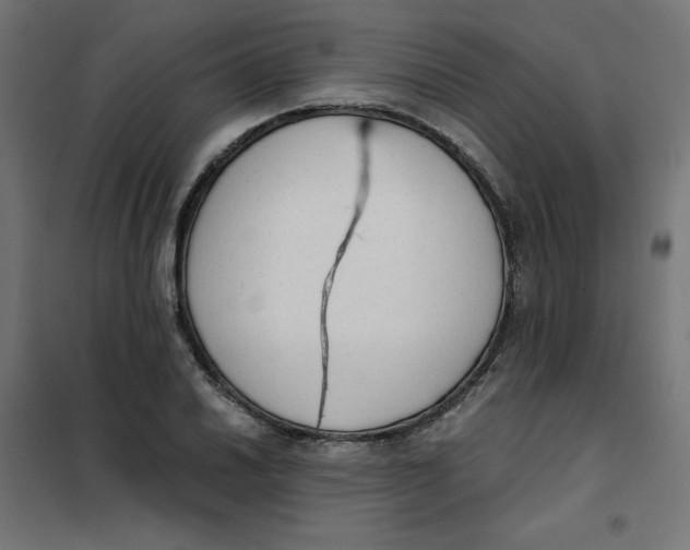 X0000101391030200807280933