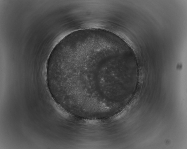 X0000101391031200807280933