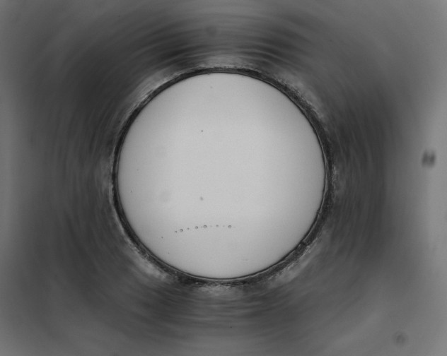 X0000101391033200807280933