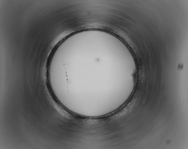 X0000101391034200807280933