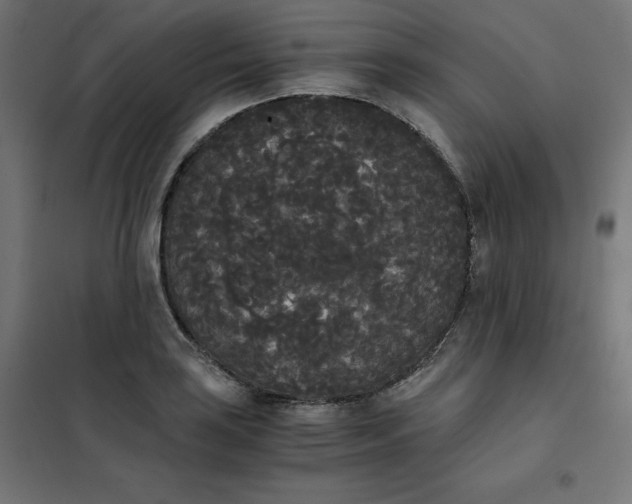 X0000101391035200807280933