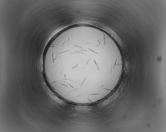 X0000101391036200807280933