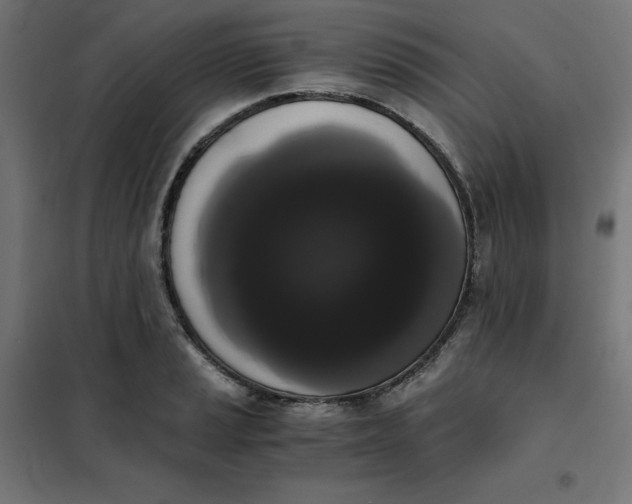 X0000101391037200807280933