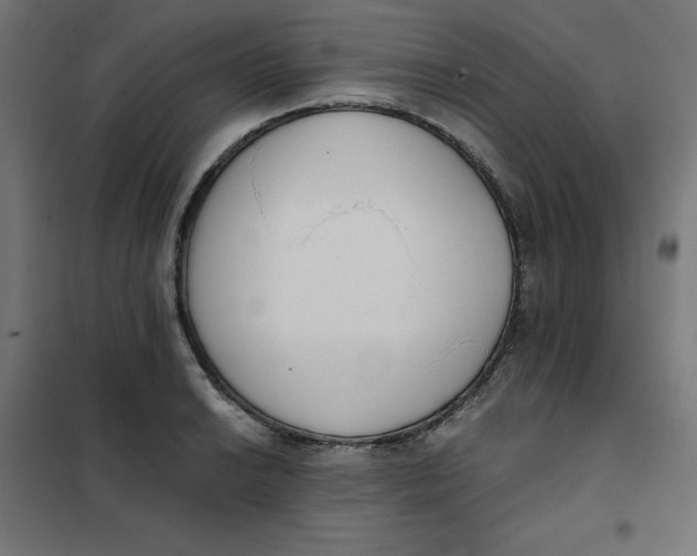 X0000101391038200807280933