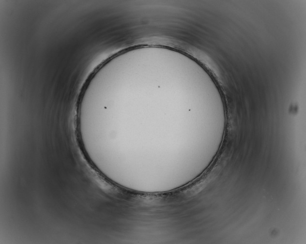 X0000101391040200807280933