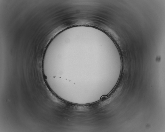 X0000101391041200807280933