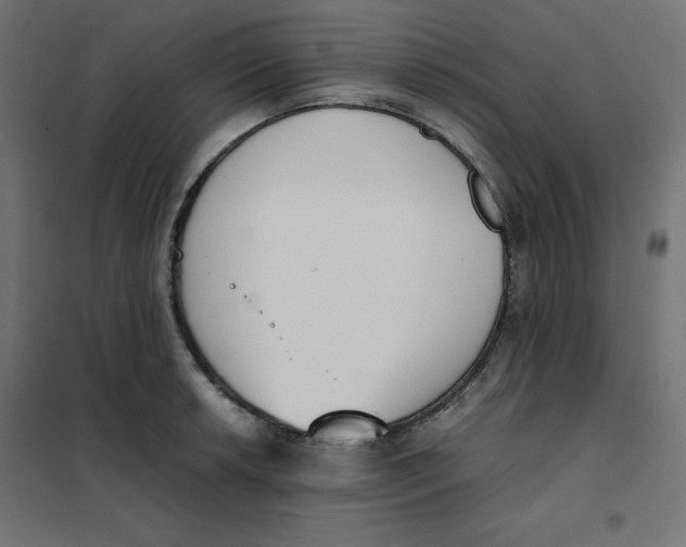 X0000101391042200807280933