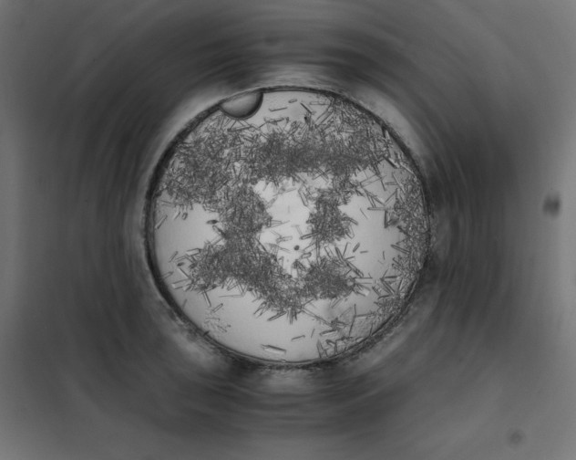 X0000101391043200807280933