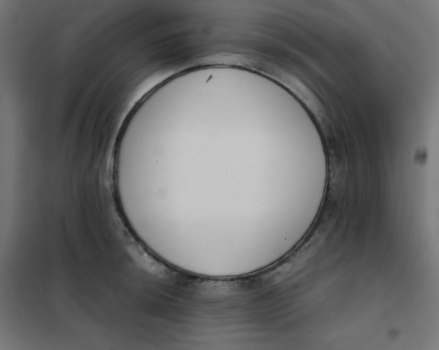 X0000101391044200807280933