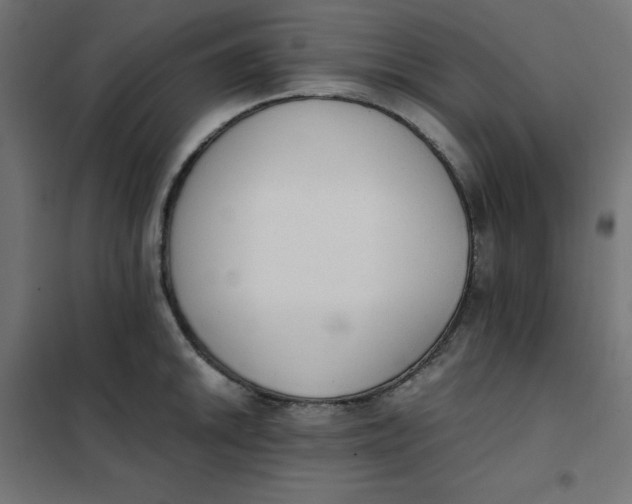 X0000101391046200807280933