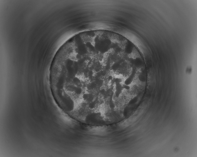 X0000101391047200807280933