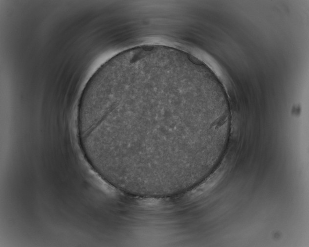 X0000101391048200807280933