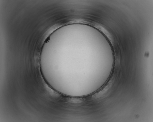 X0000101391049200807280933