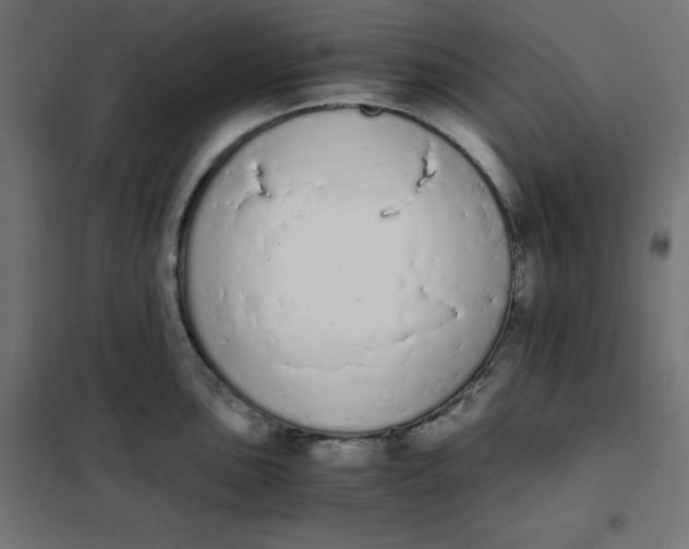 X0000101391051200807280933