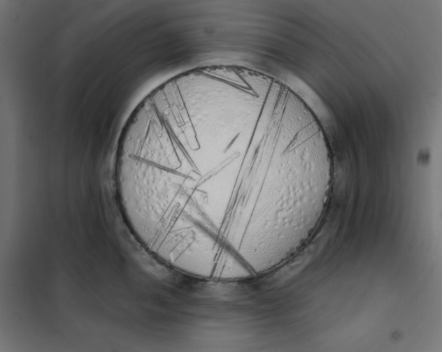 X0000101391052200807280933