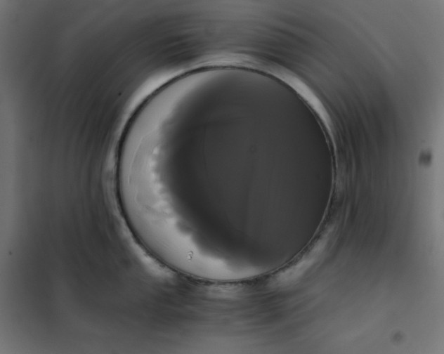 X0000101391053200807280933