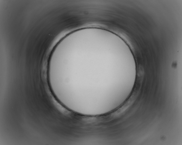 X0000101391054200807280933