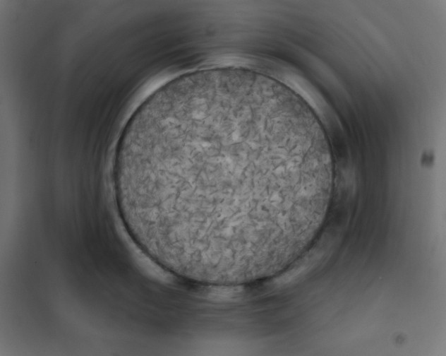 X0000101391055200807280933