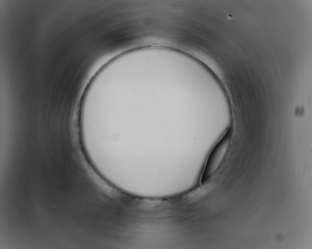 X0000101391056200807280933