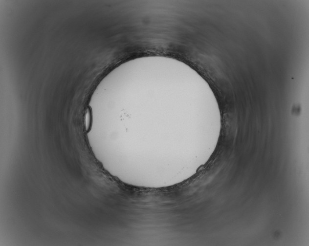 X0000101391057200807280933