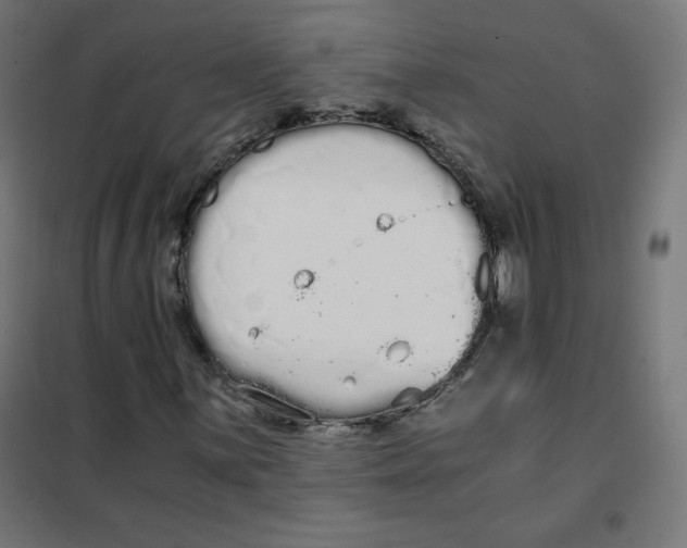 X0000101391059200807280933