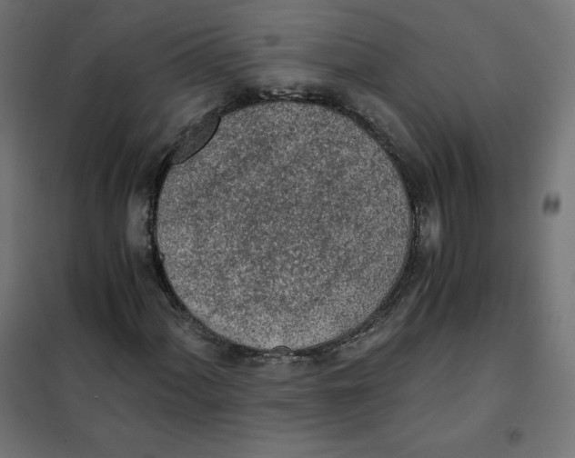 X0000101391060200807280933