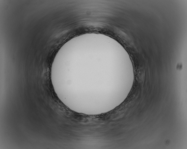 X0000101391061200807280933