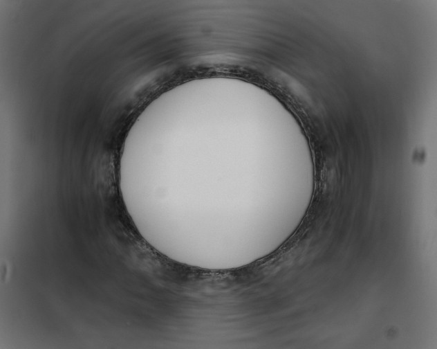 X0000101391062200807280932