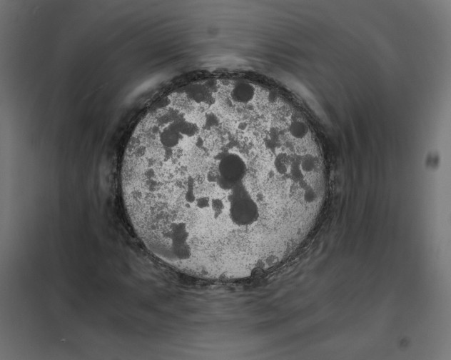 X0000101391063200807280932