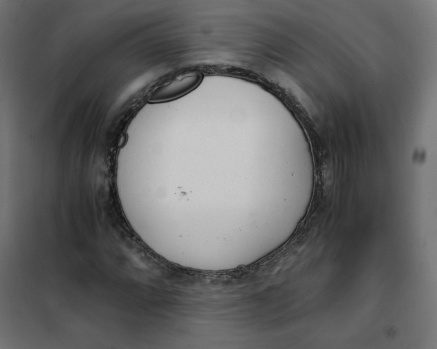 X0000101391064200807280932