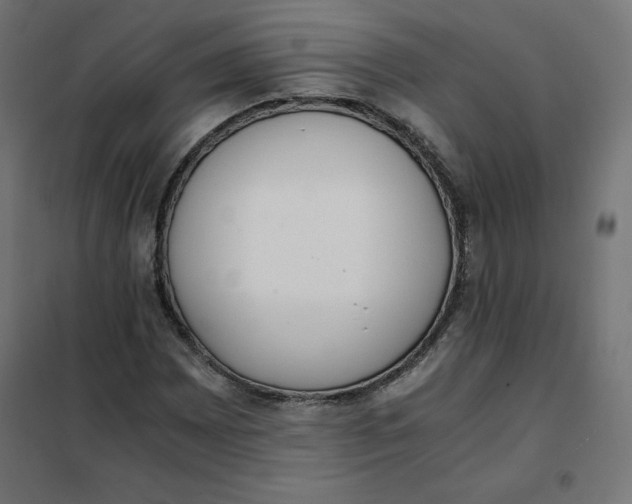 X0000101391065200807280932