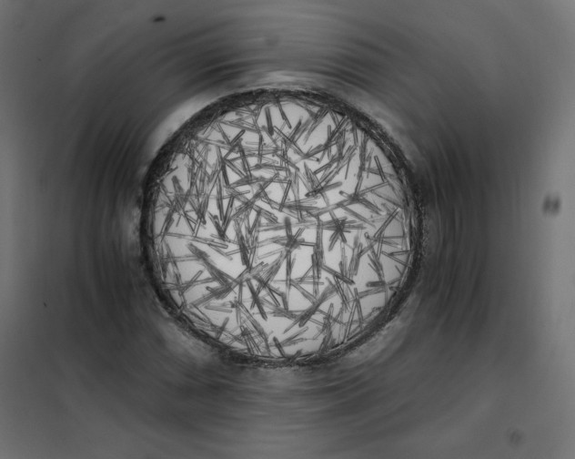 X0000101391066200807280932