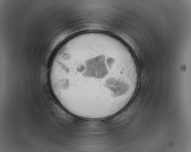 X0000101391067200807280932