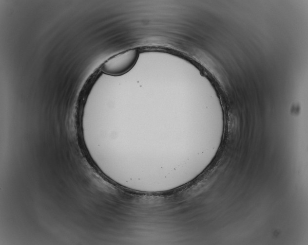 X0000101391068200807280932