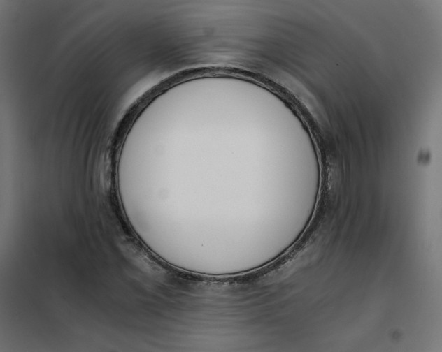 X0000101391069200807280932