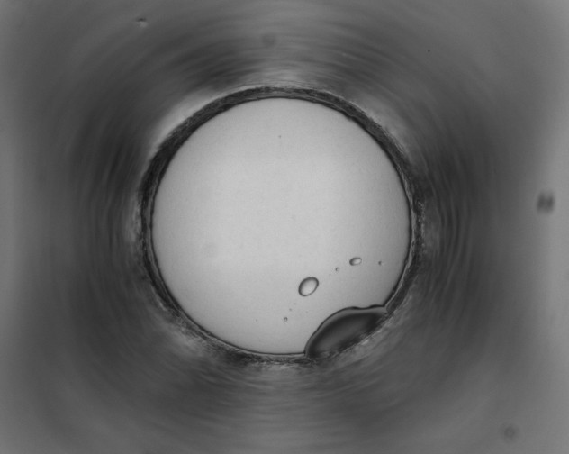 X0000101391070200807280932