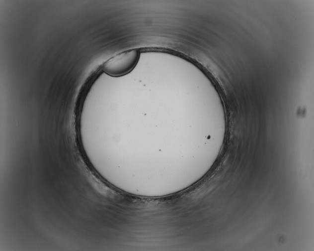 X0000101391072200807280932