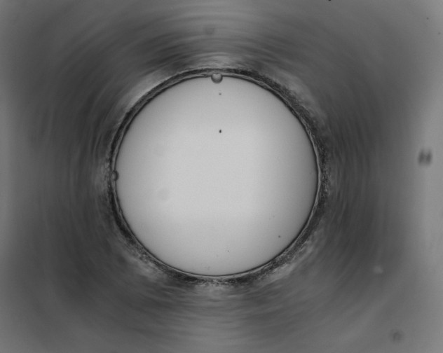 X0000101391073200807280932