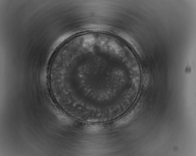 X0000101391074200807280932