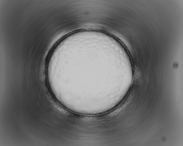 X0000101391075200807280932