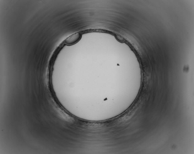 X0000101391076200807280932