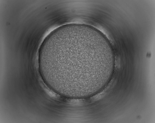 X0000101391078200807280932