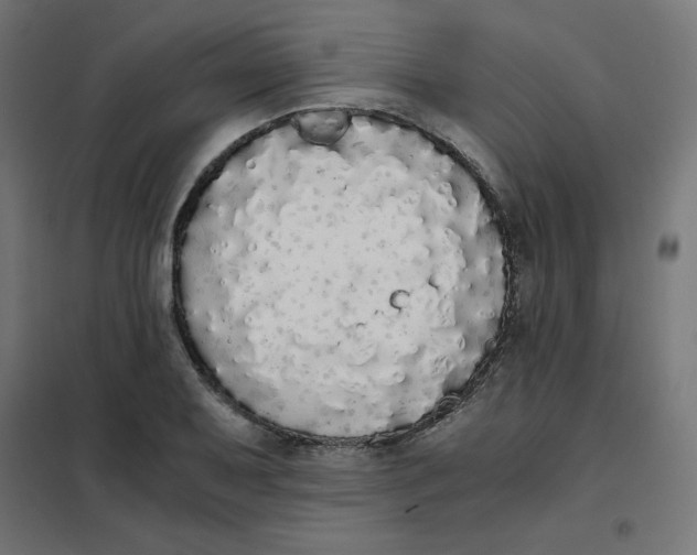 X0000101391079200807280932