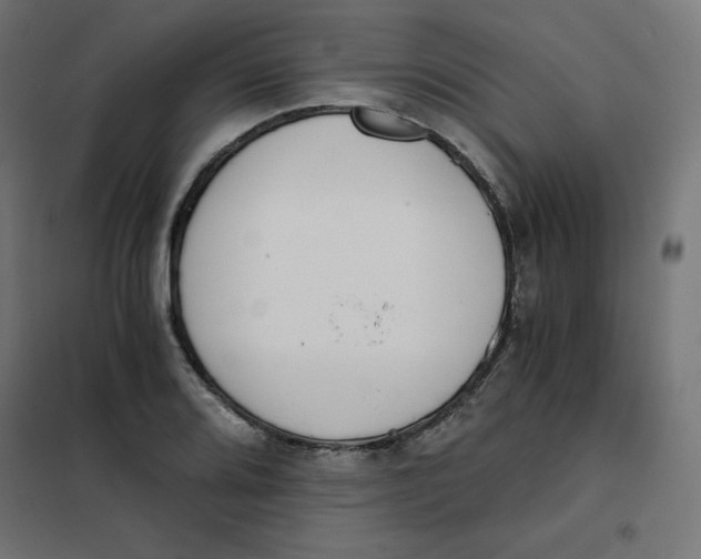 X0000101391080200807280932