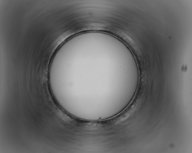 X0000101391081200807280932