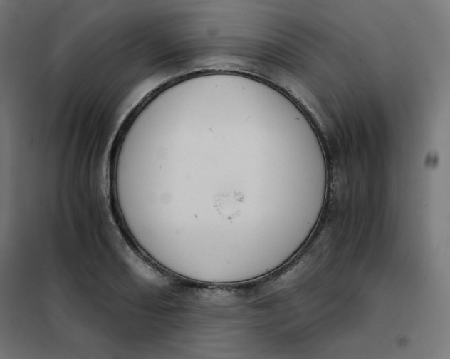 X0000101391082200807280932