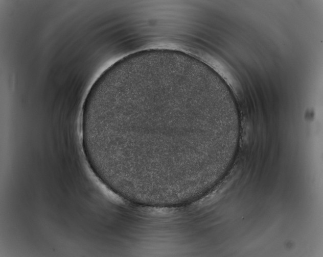 X0000101391084200807280932