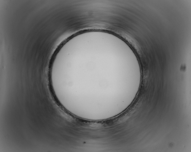 X0000101391085200807280932