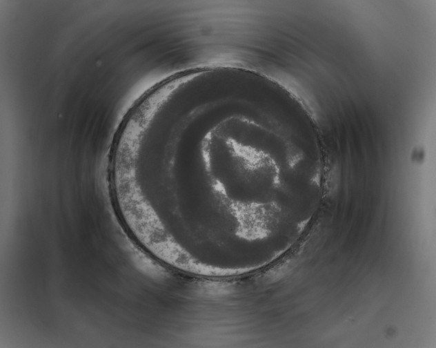 X0000101391086200807280932